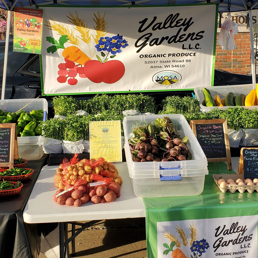 Valley Gardens LLC